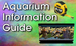 Aquarium Information Guide