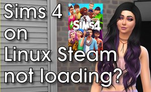 The Sims 4: Steam on Linux fix
