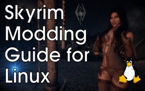 The Elder Scrolls V: Skyrim Modding Guide for Linux