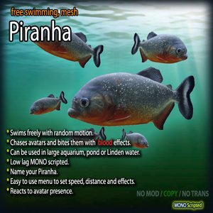 Free-swimming Piranha Rezzer