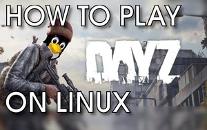 Playing DayZ on Arch Linux