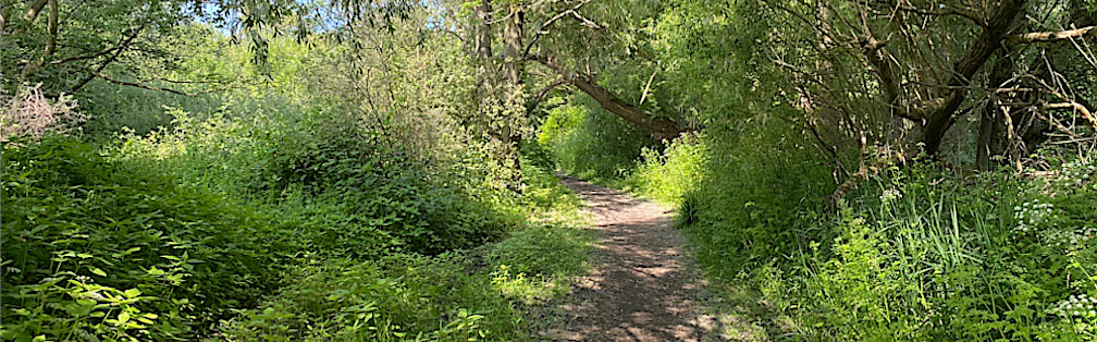 Not all who wander are lost. - Tolkien